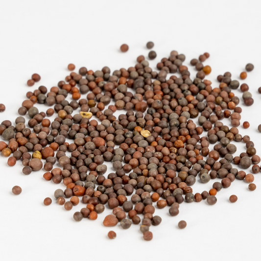 Brown Mustard Seeds 500g
