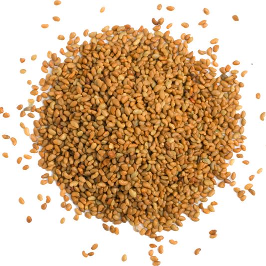Alfalfa Seeds - 100% Organic Alfalfa Seed 500g
